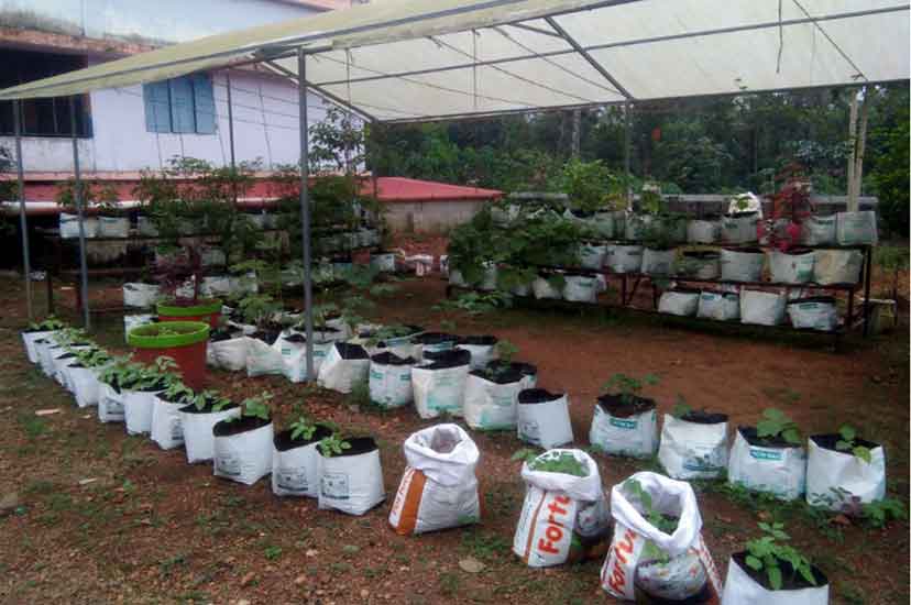 Nature Club at Mary Matha ITI